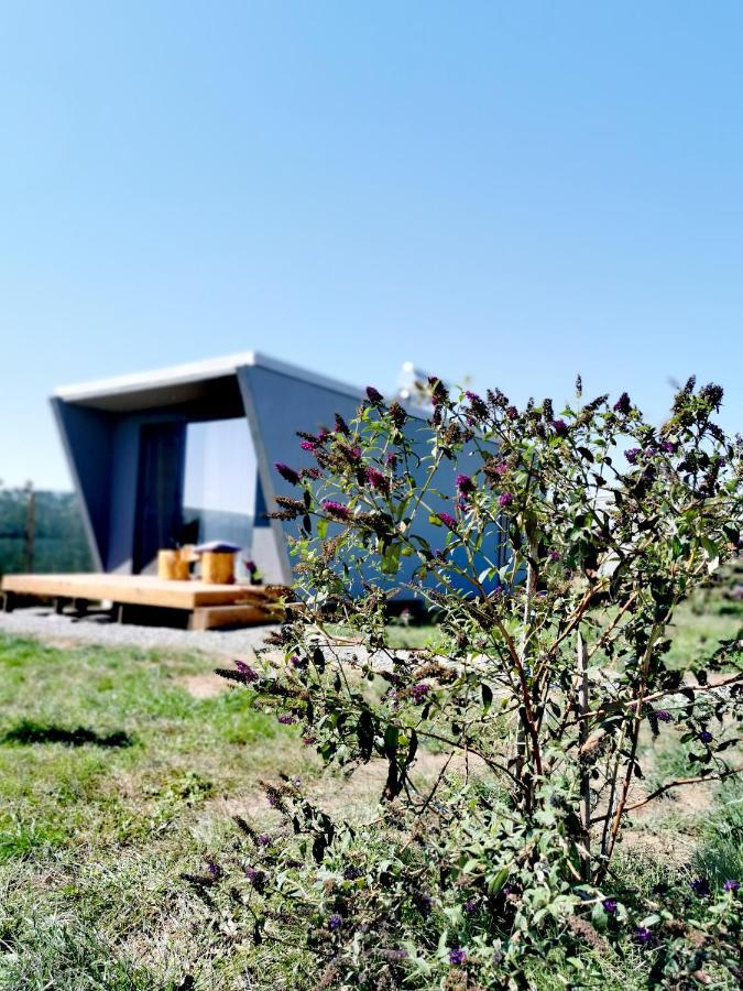 מלון 17טוזלה חדר תמונה